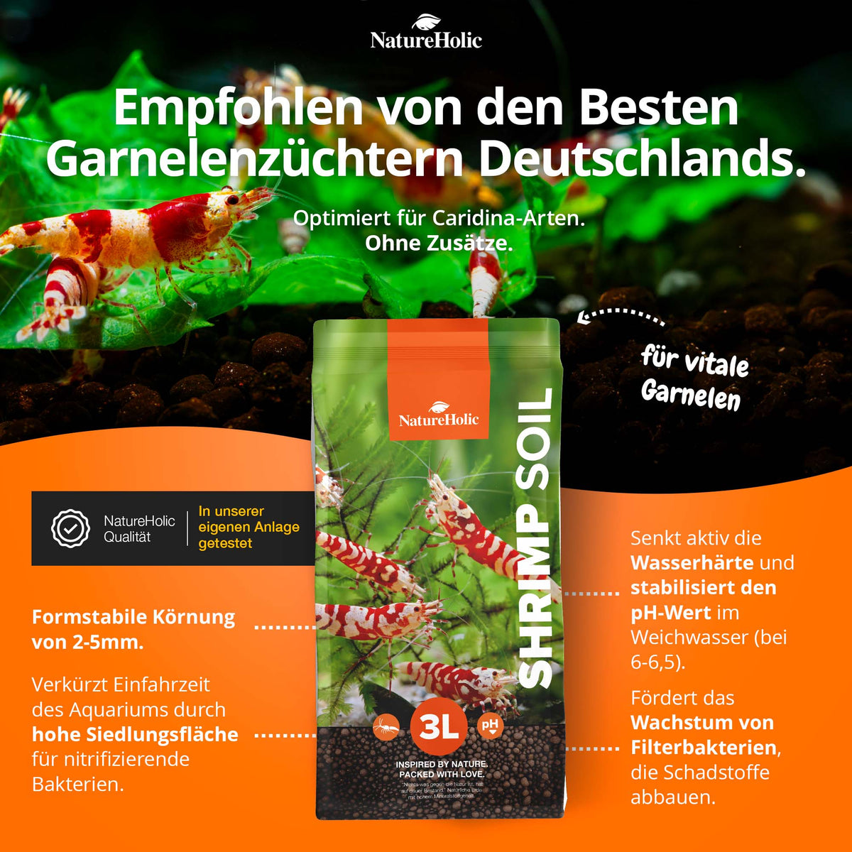 NatureHolic Shrimp Soil - Spezial Bodengrund für Garnelen im Aquarium