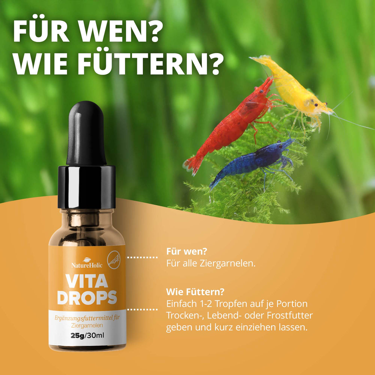 NatureHolic Vita Drops Shrimp - 30ml Garnelenfutter Zusatz für mehr Vitalität