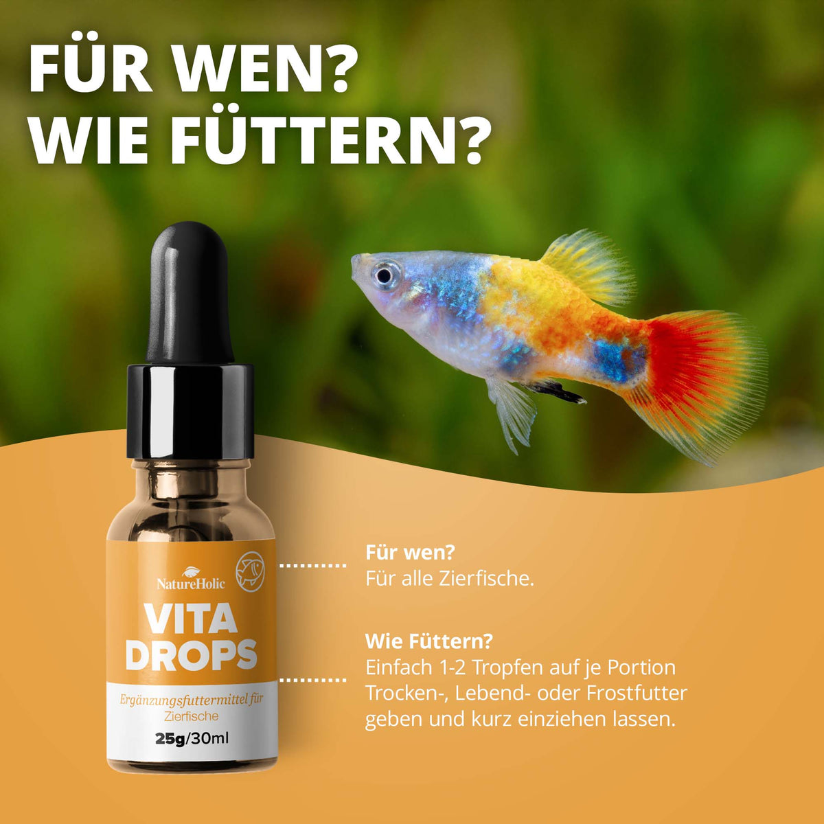 NatureHolic Vita Drops Fish - 30ml Fischfutter Zusatz für mehr Vitalität