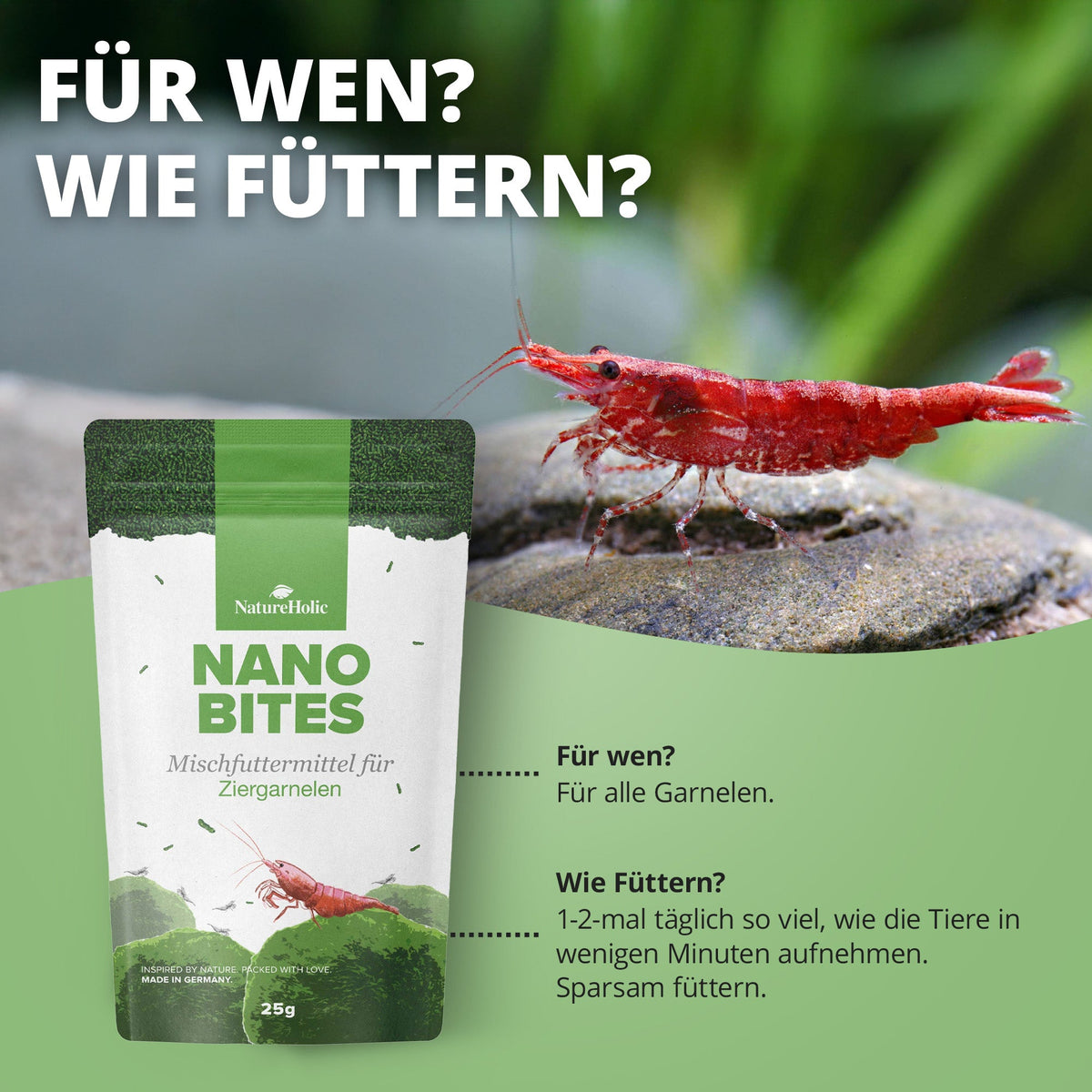 Nano Bites