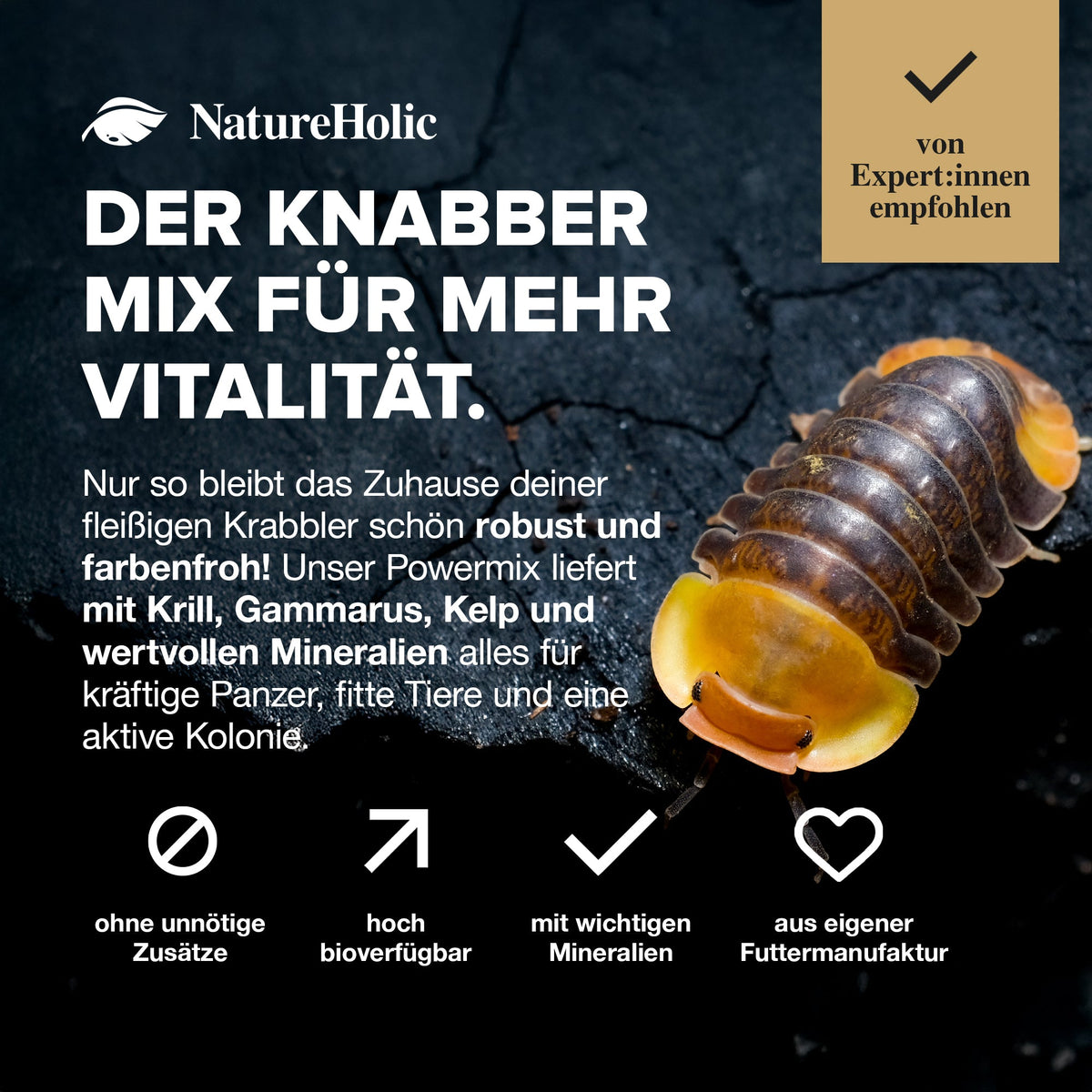 NatureHolic AsselFeed - Assel Futter