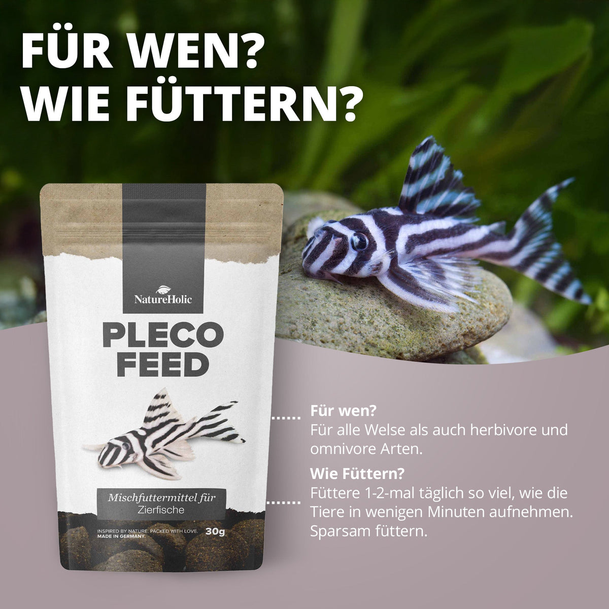 NatureHolic Welsfeed - Welsfutter - Welstabs - 30 g