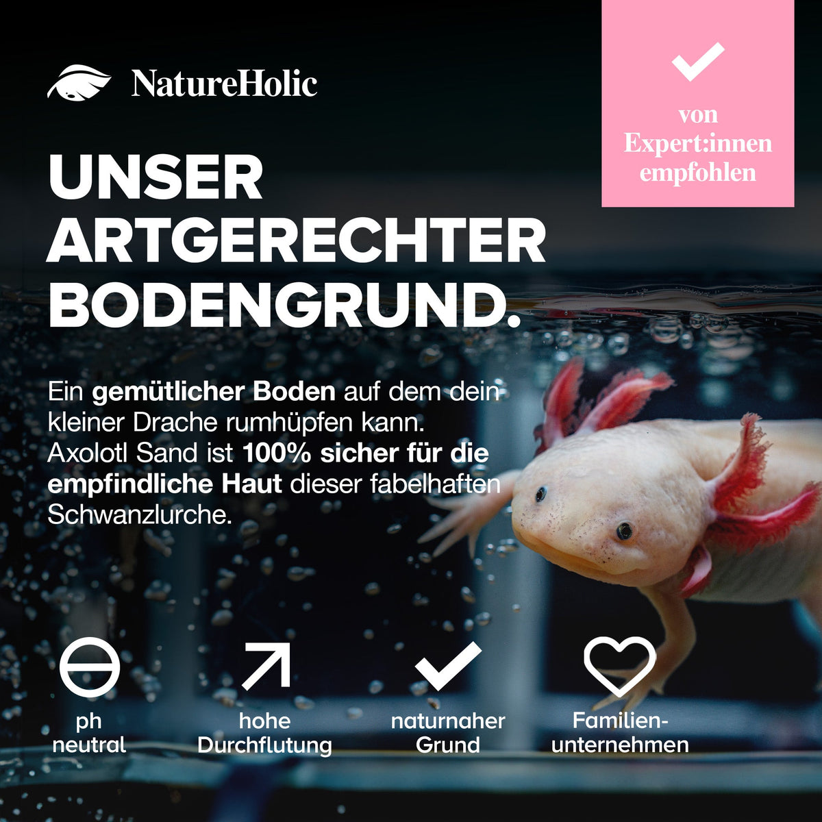 Axolotl Sand - 10kg Natursand für Axolotl