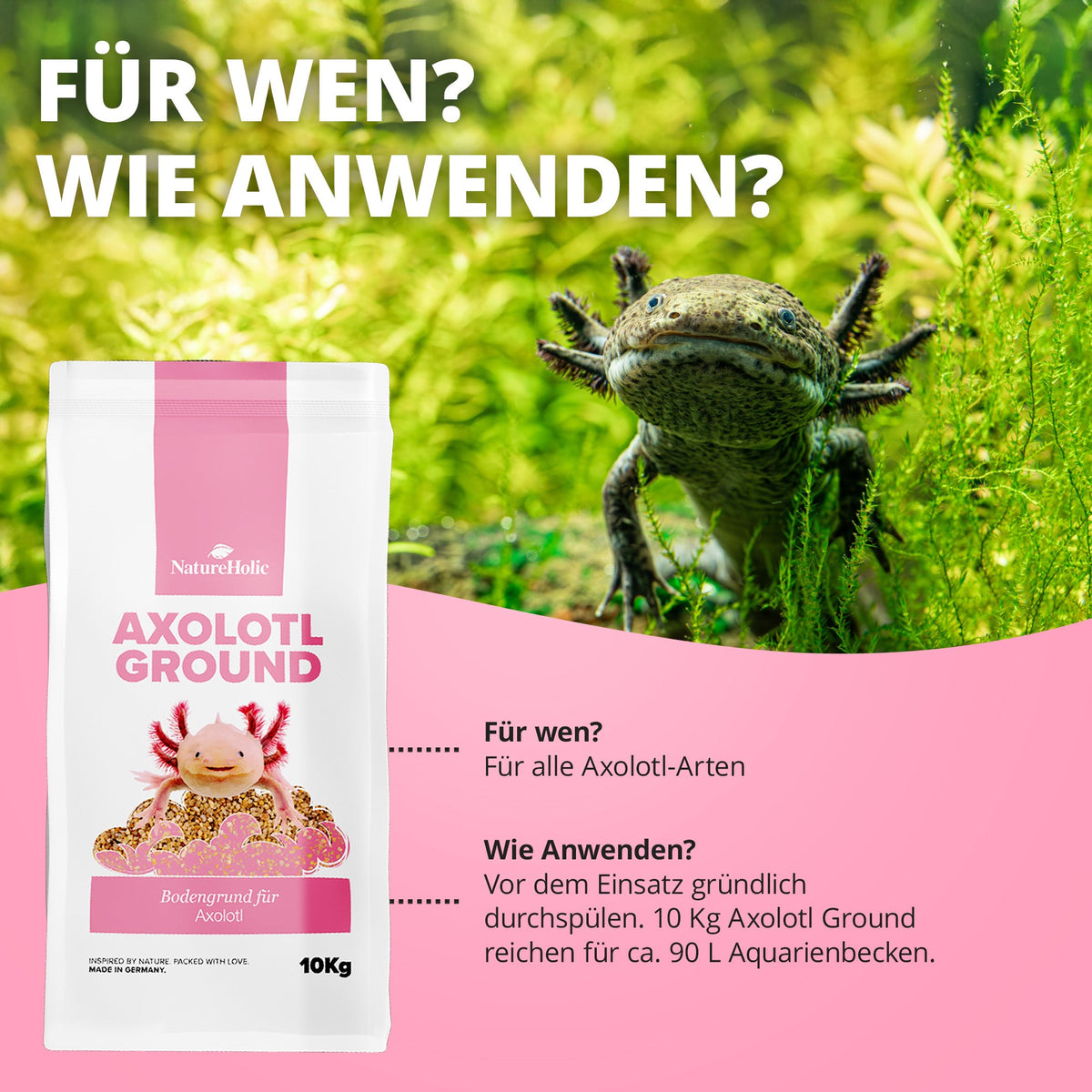 Axolotl Ground - 10kg Spezialbodengrund für Axolotl