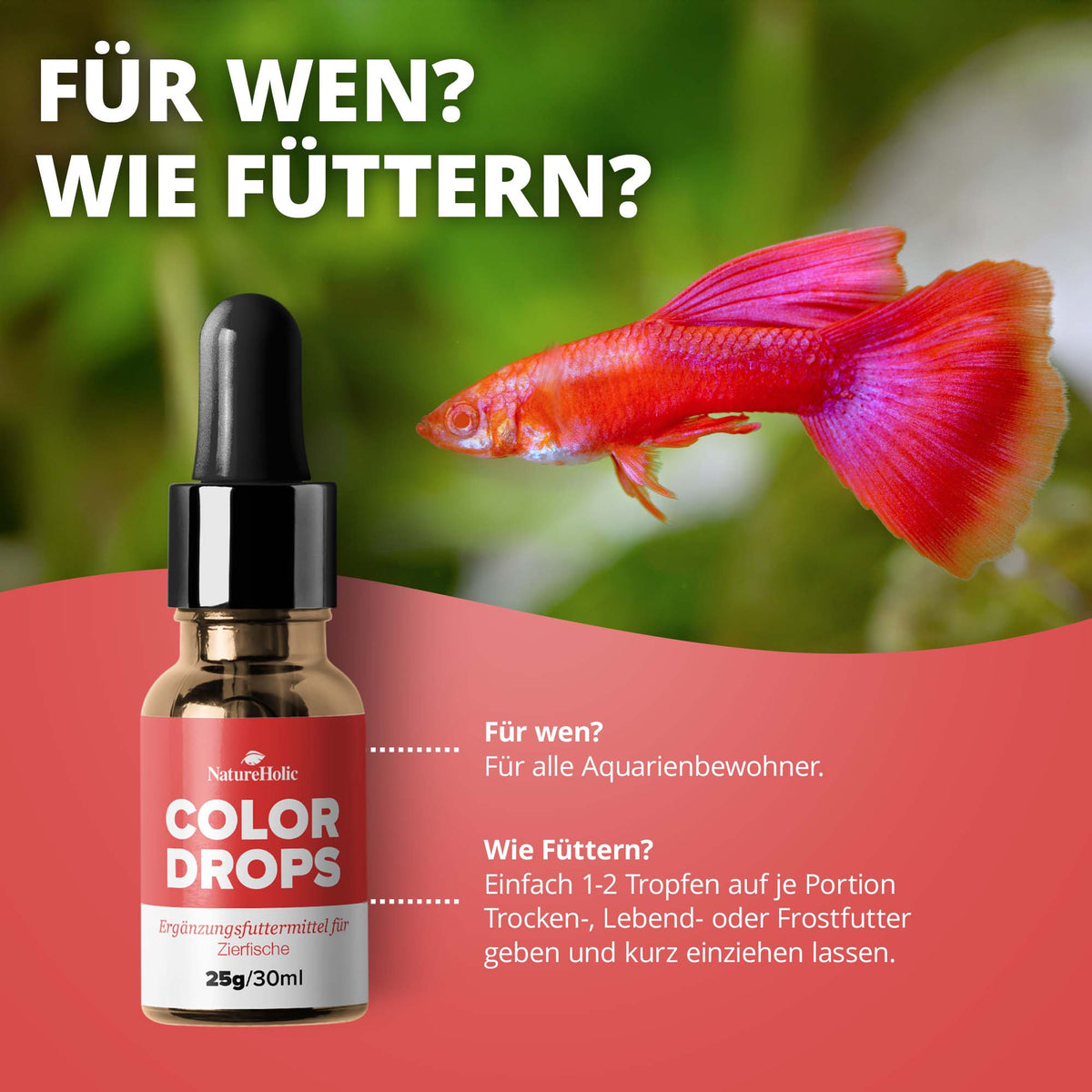 NatureHolic Color Drops - 30ml Fischfutter Zusatz für intensive Farben