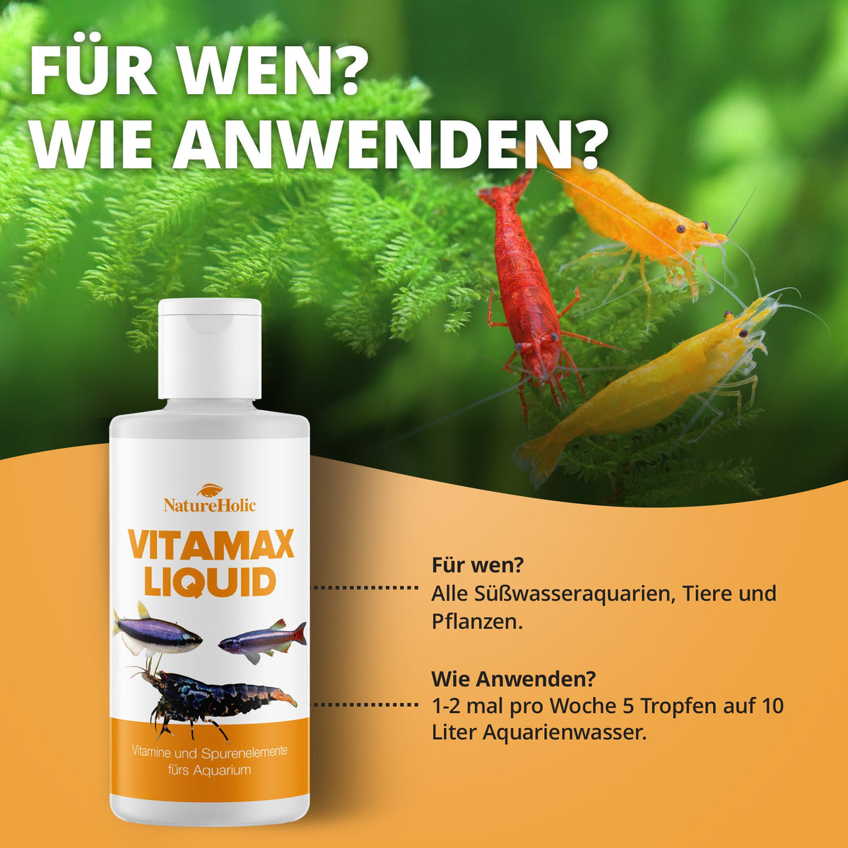 NatureHolic - VitaMax Liquid - 125ml - Vitaminkur fördert Vitalität, Wohlbefinden und Farbpracht