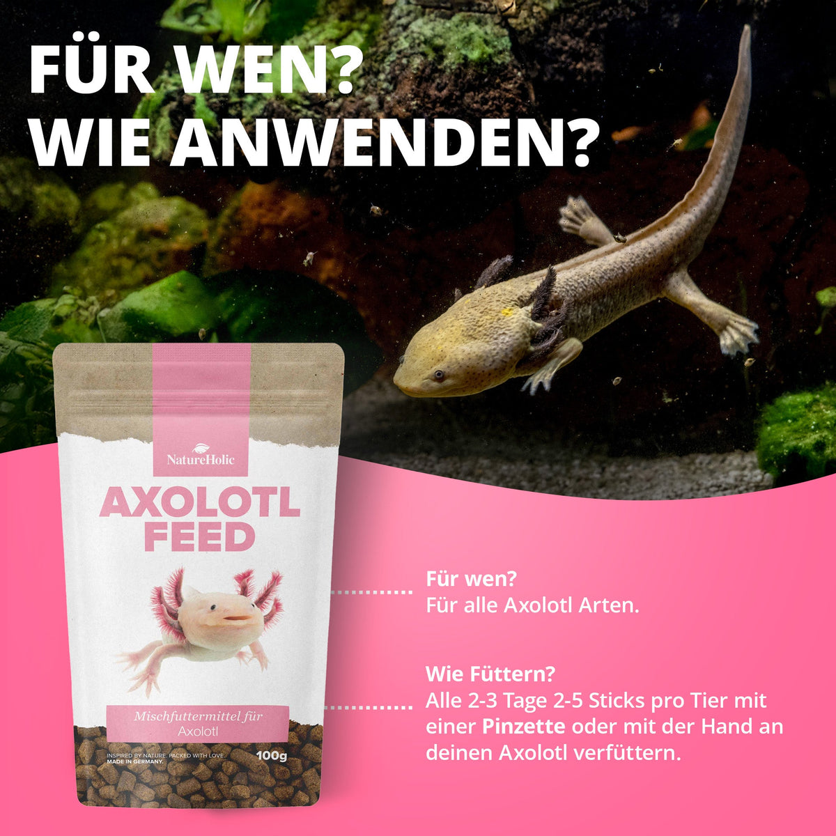 NatureHolic AxolotlFeed - Axolotl Spezialfutter