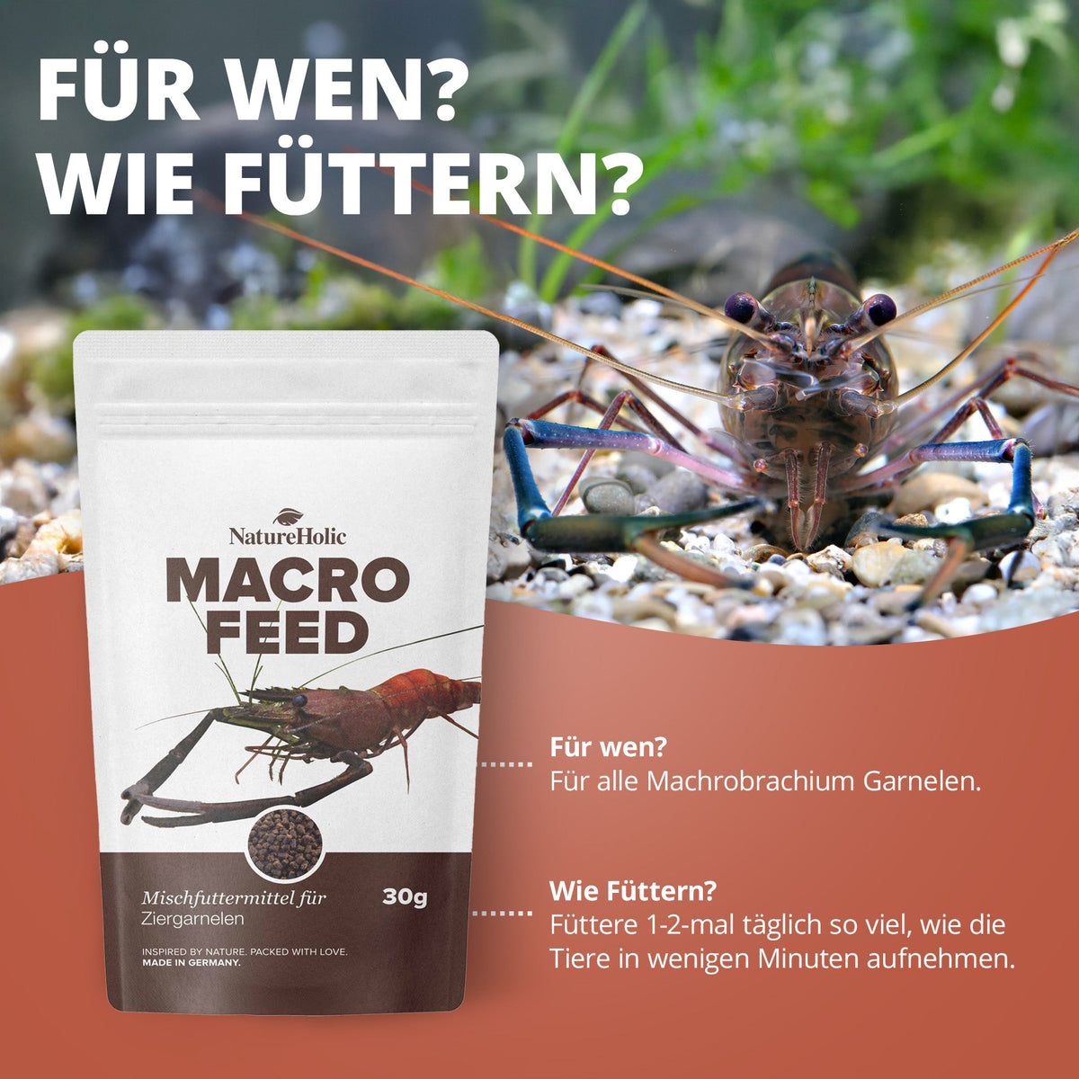 NatureHolic - Macrofeed / Großarmgarnelen-Futter - 30g