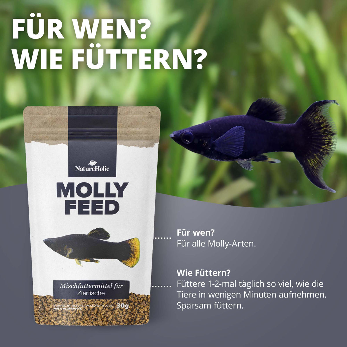 NatureHolic MollyFeed - Molly Futter - Fischfutter 30g