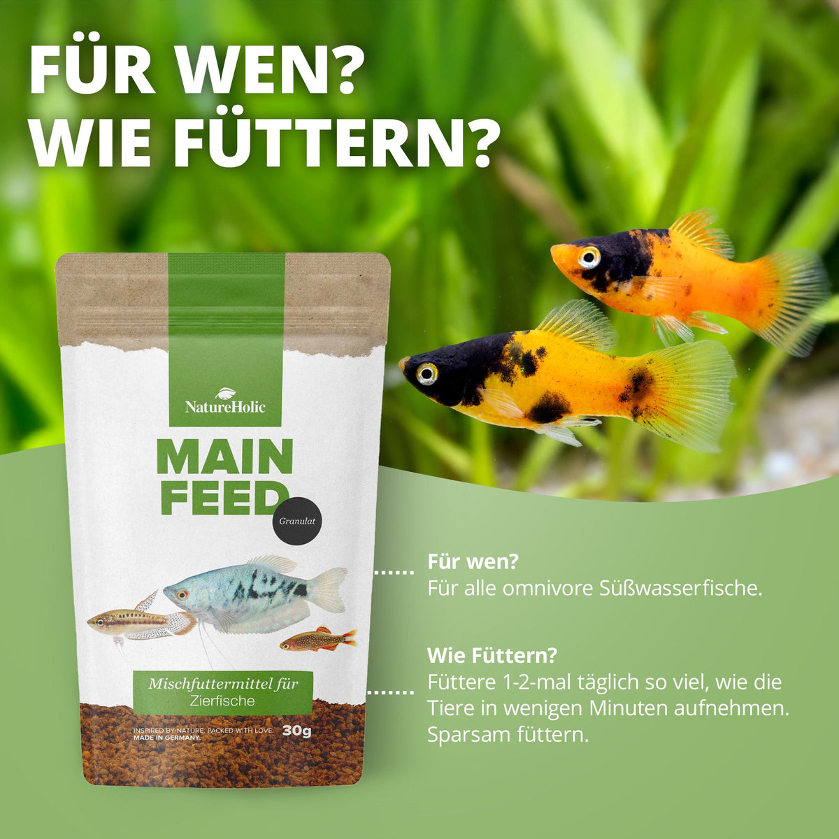Hauptfeed "Granulat" Zierfische