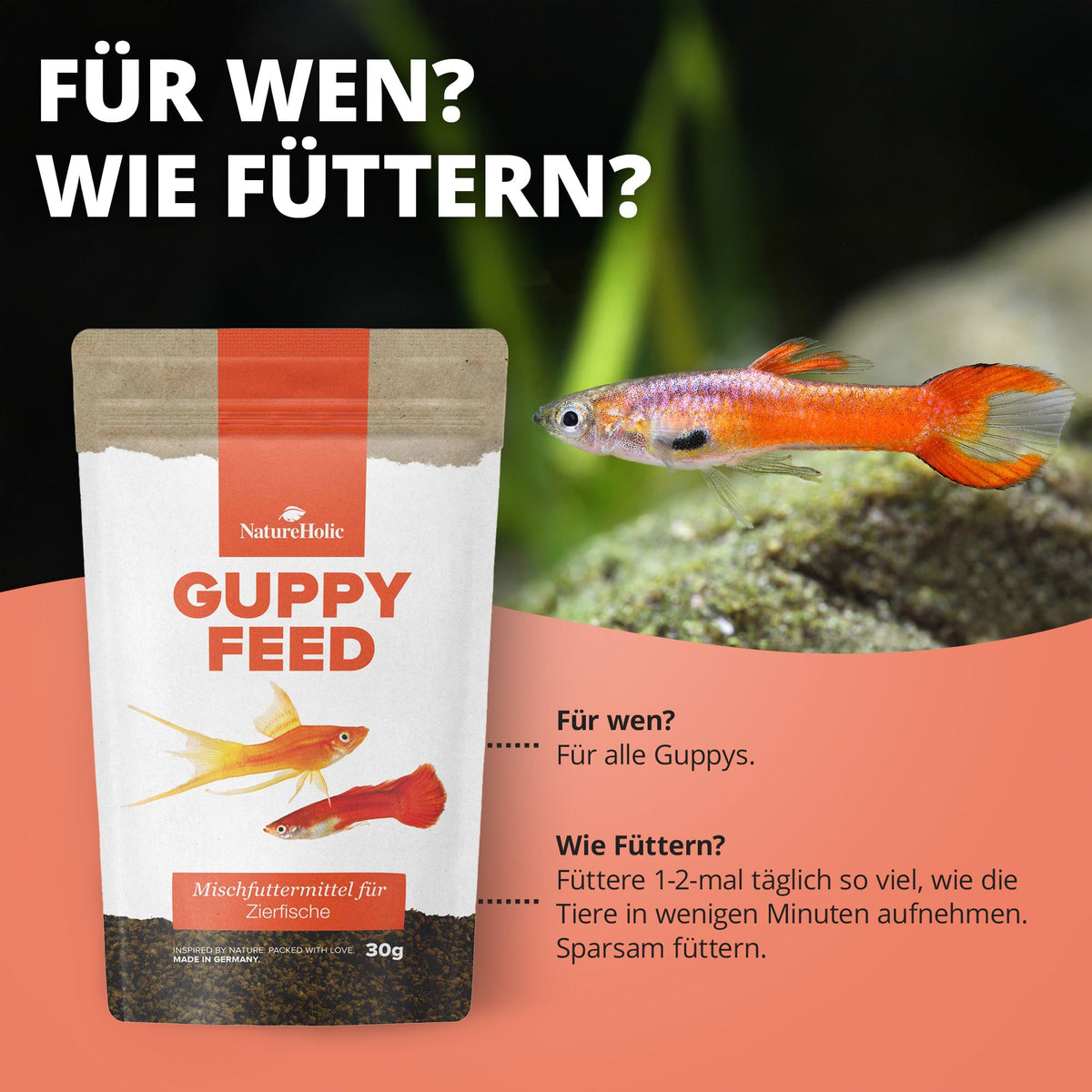 NatureHolic Guppyfeed – Premiumfutter für Guppys & Lebendgebärende