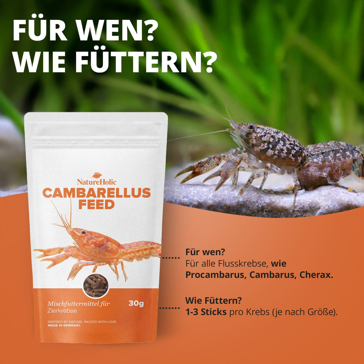 NatureHolic Cambarellusfeed – CPO & Zwergkrebsfutter