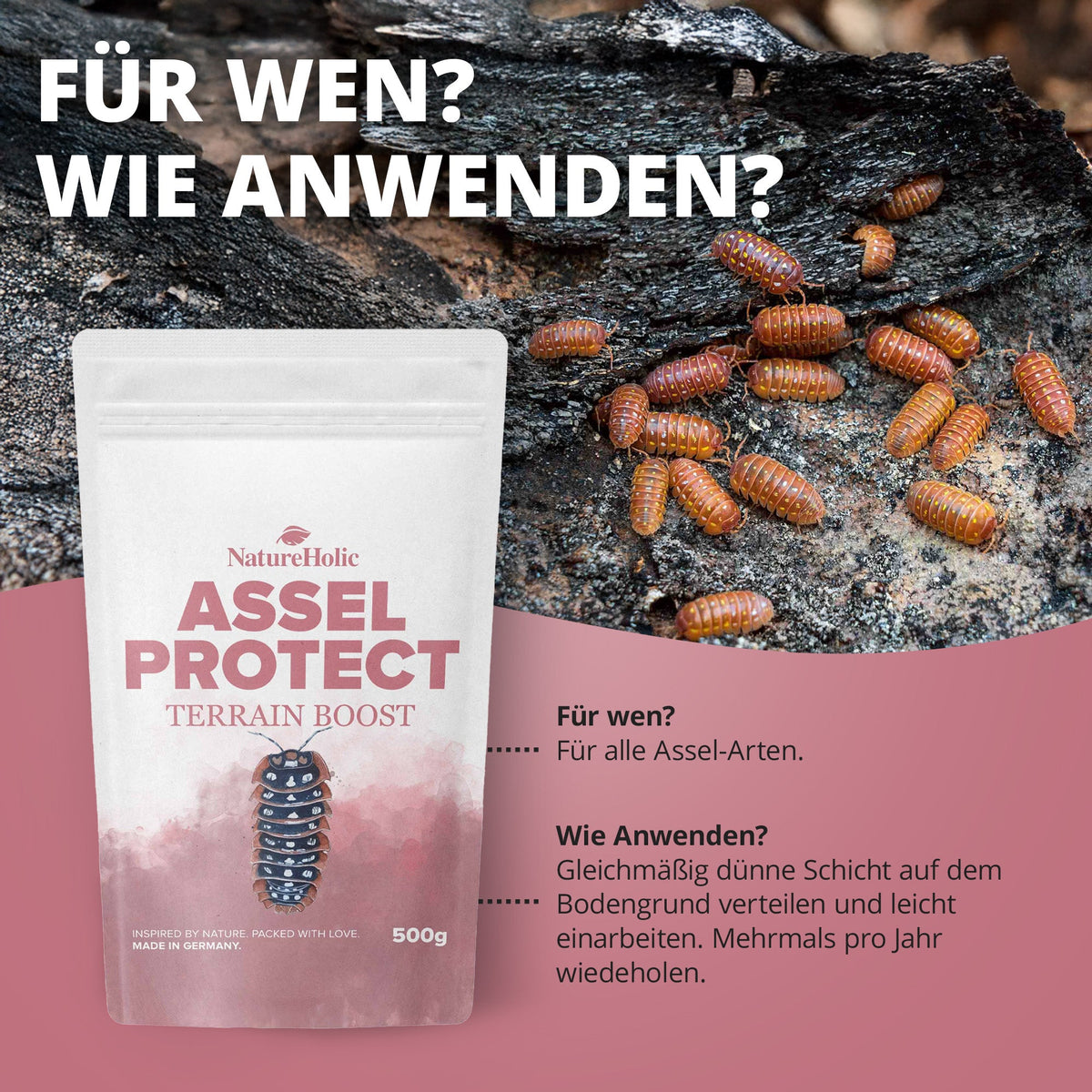 NatureHolic Assel Protect TerrainBoost - für die Bodenverbesserung im Asselterrarium