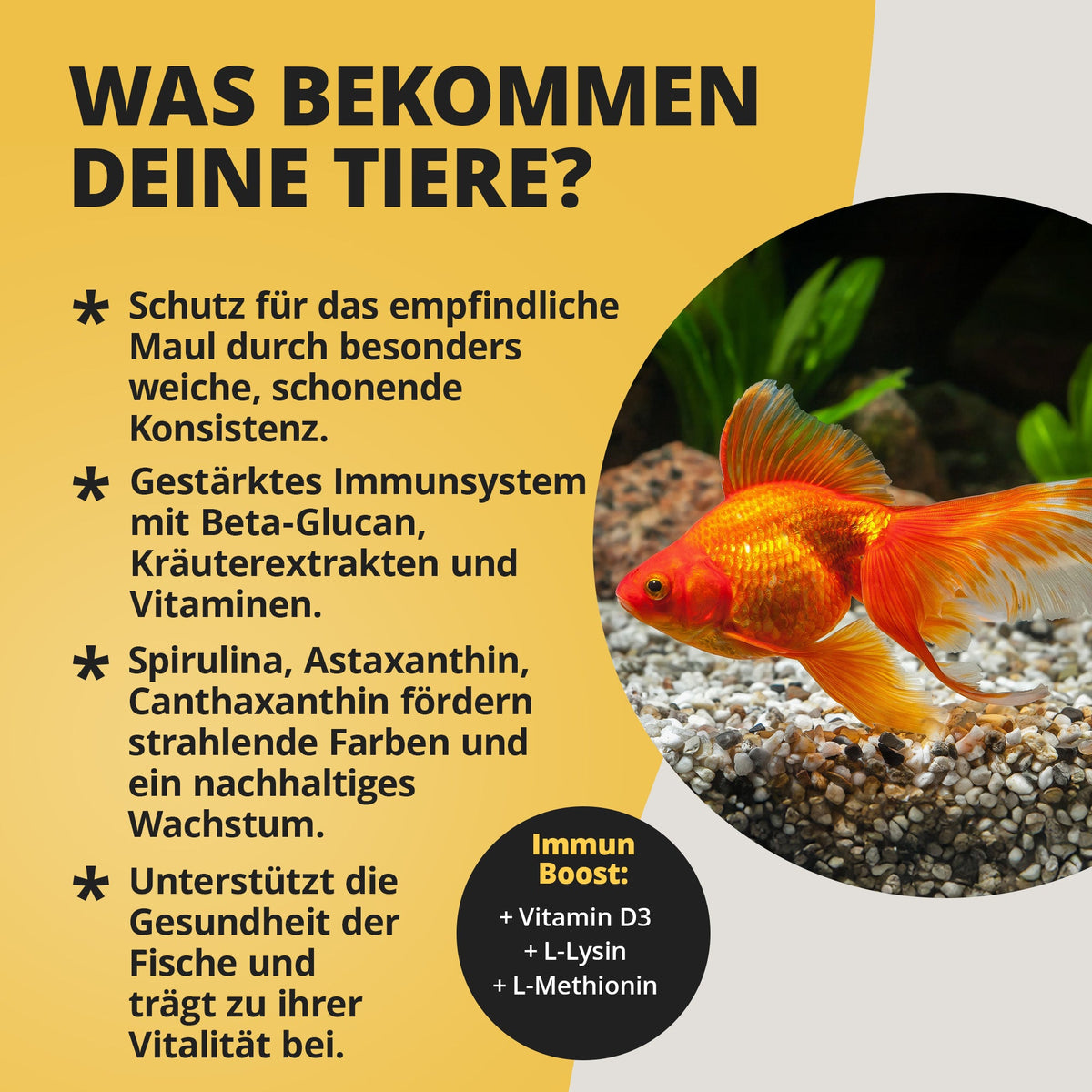 NatureHolic Goldfish Softies - Goldfischfutter - 130g