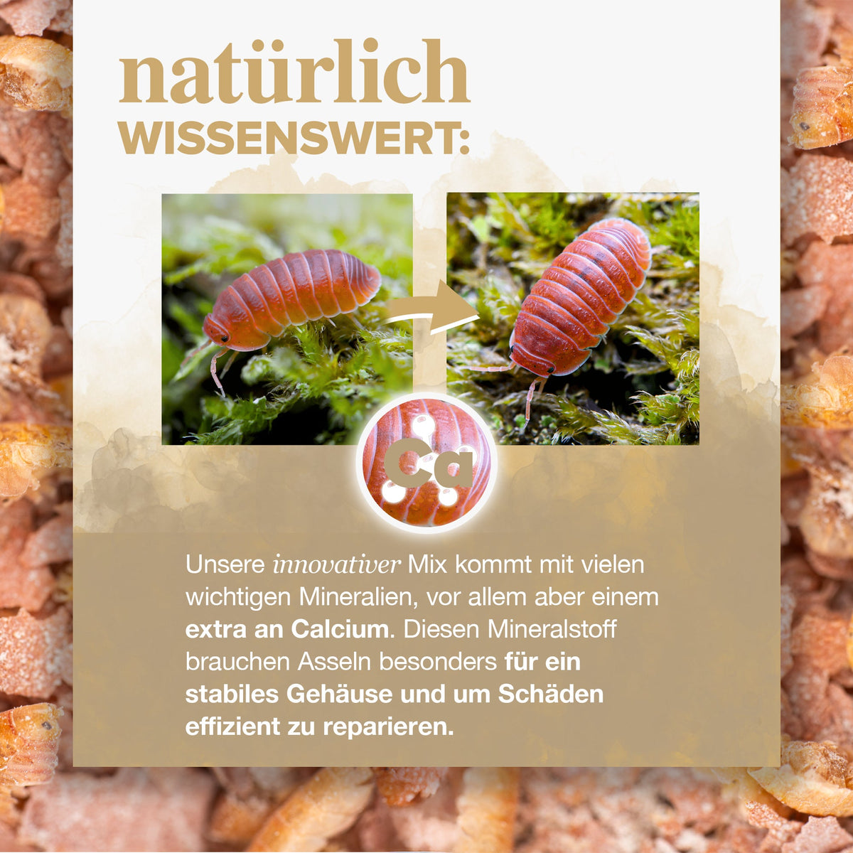 NatureHolic AsselFeed - Assel Futter