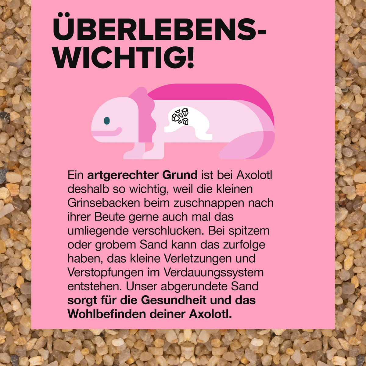 Axolotl Sand - 10kg Natursand für Axolotl