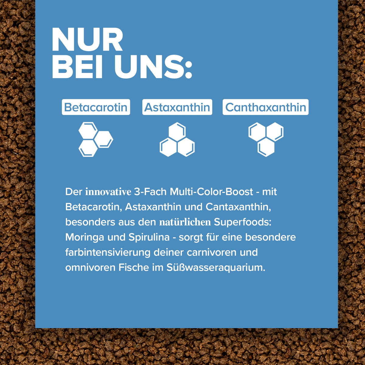 Zierfischfutter Farbverstärkung