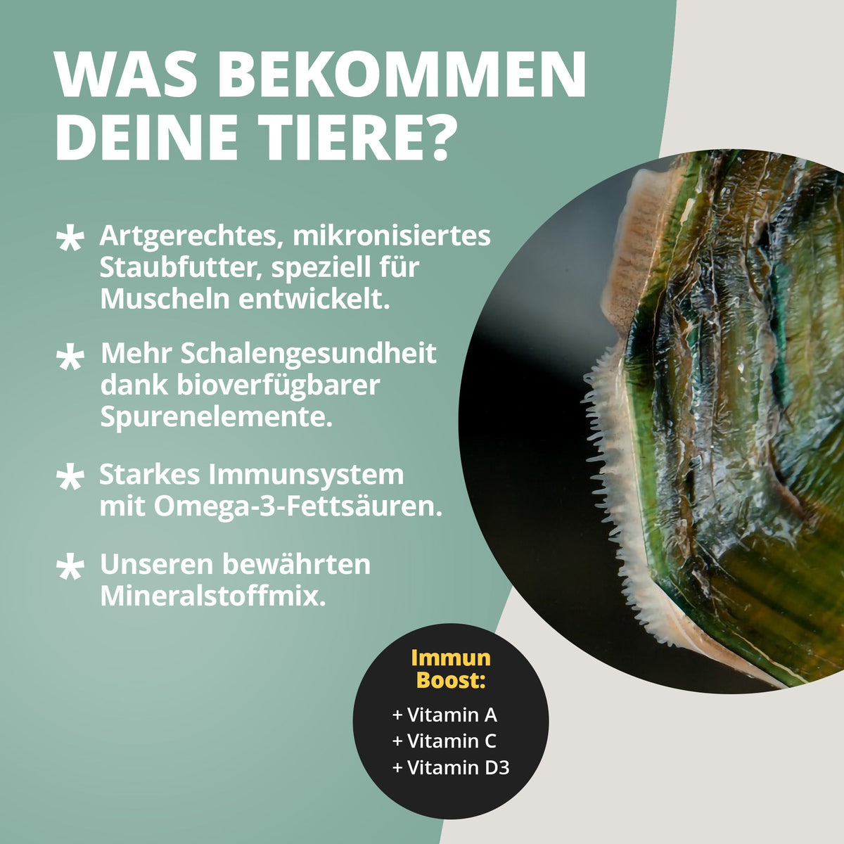 NatureHolic - Muschelfeed - Muschelfutter - 30g - Musselfeed