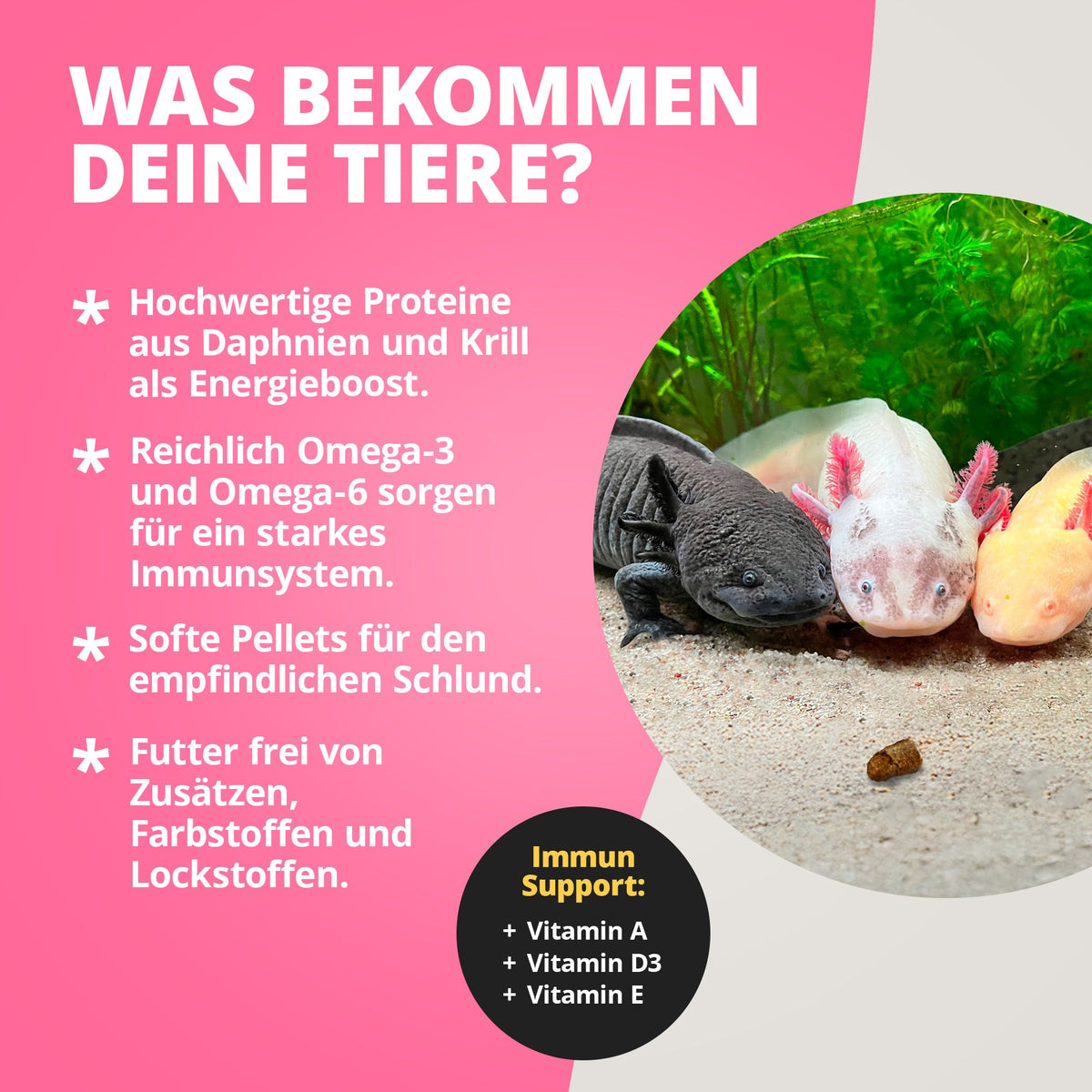 NatureHolic AxolotlFeed - Axolotl Spezialfutter