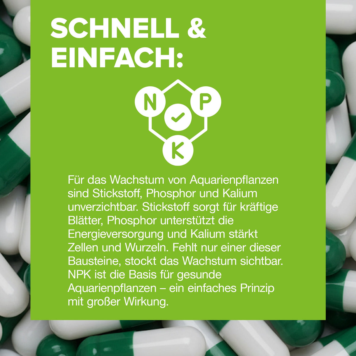 NatureHolic NutriCaps - Wasserpflanzen Bodengrunddünger