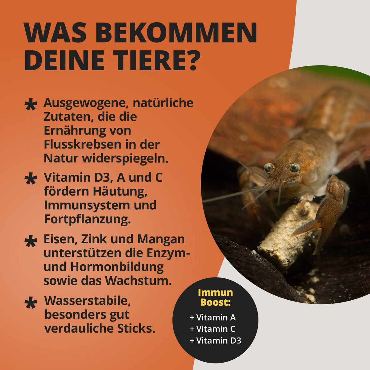 NatureHolic Cambarellusfeed – CPO & Zwergkrebsfutter