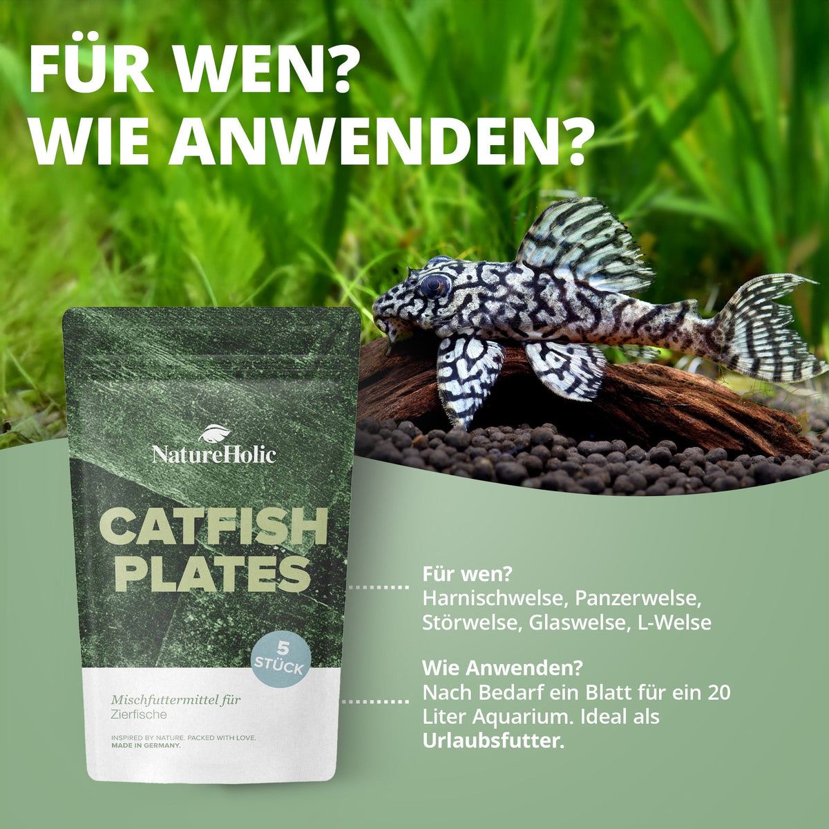 NatureHolic - CatfishPlates - Algentafeln (5 stk.) für alle Saugwelse / L - Welse