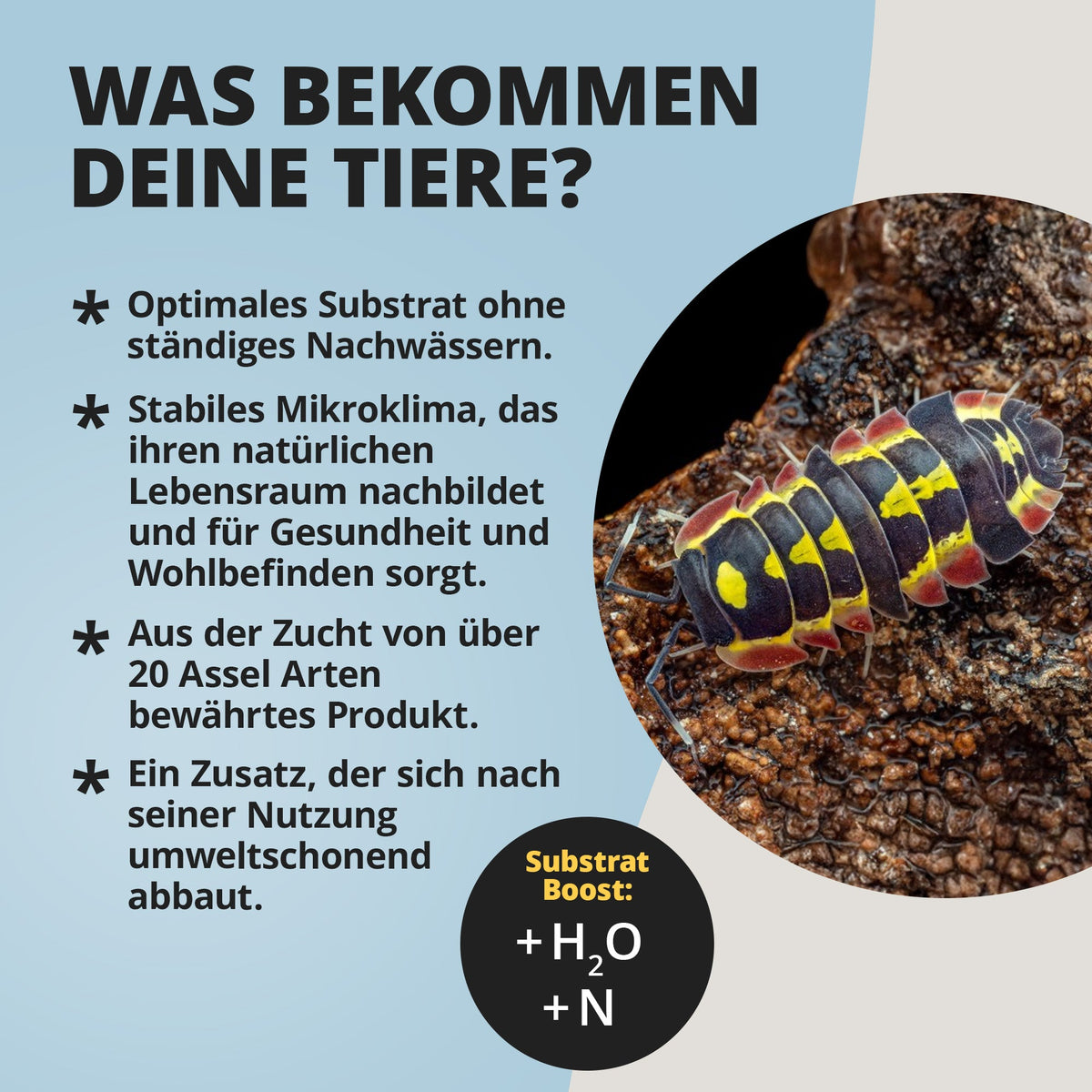 Assel HydroProtect
