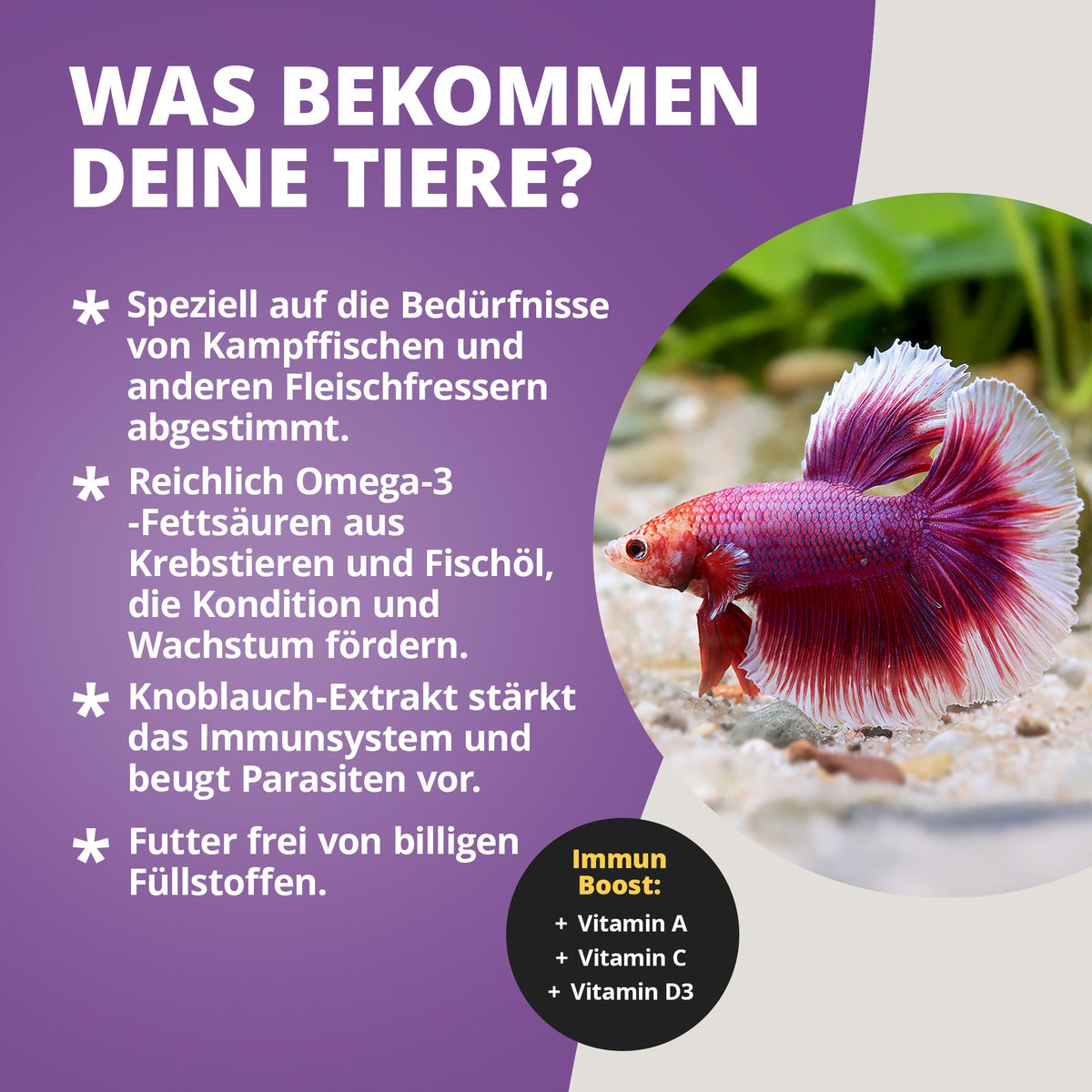 NatureHolic Bettafeed - Bettafutter - 30g