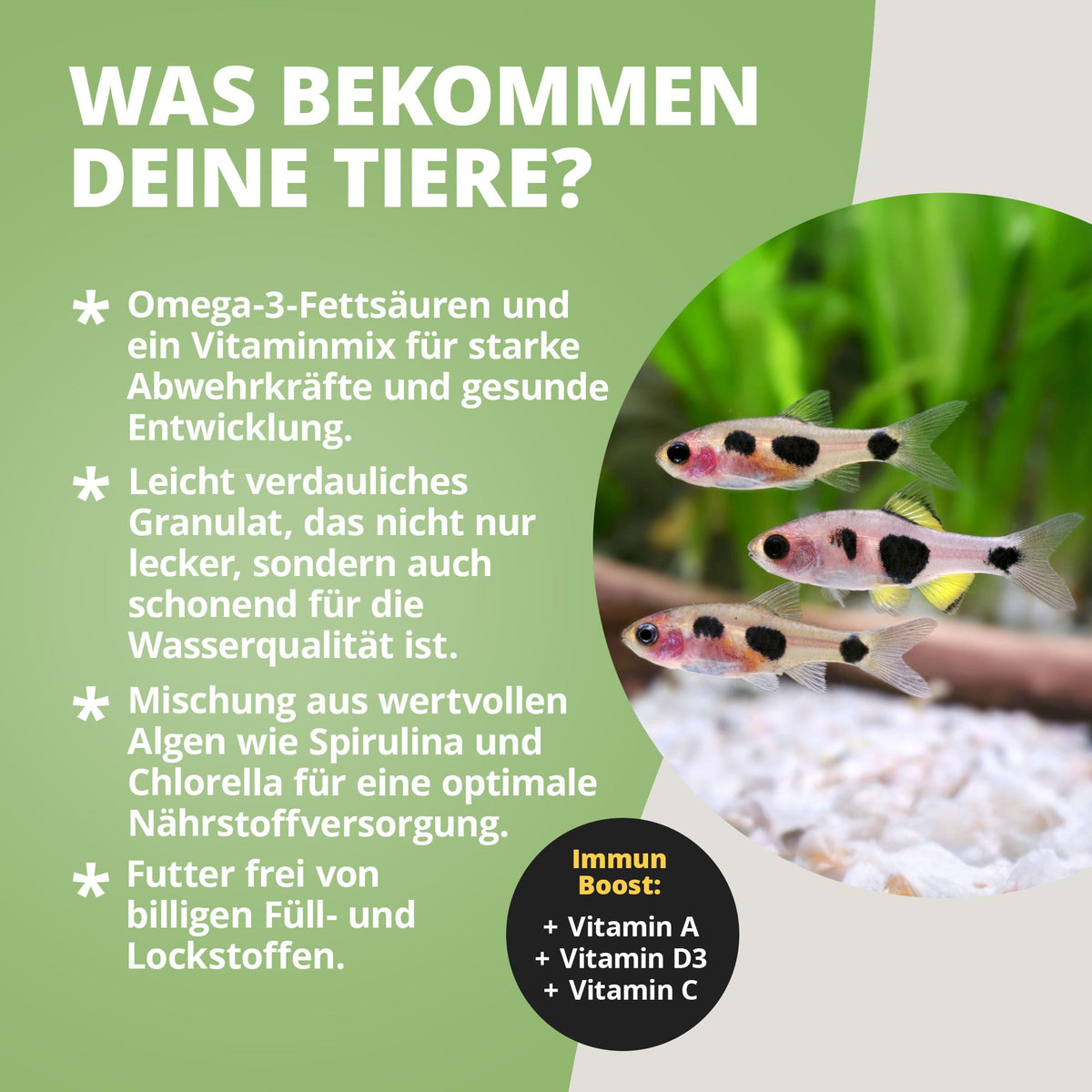 Hauptfeed "Granulat" Zierfische