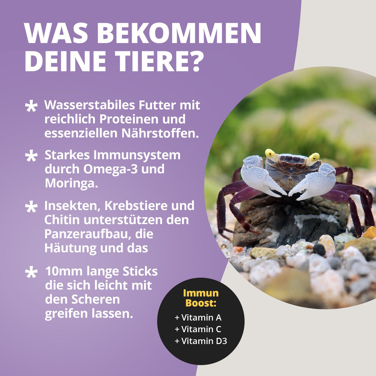 NatureHolic - Krabbenfeed - Krabbenfutter - 30g - Crabfeed