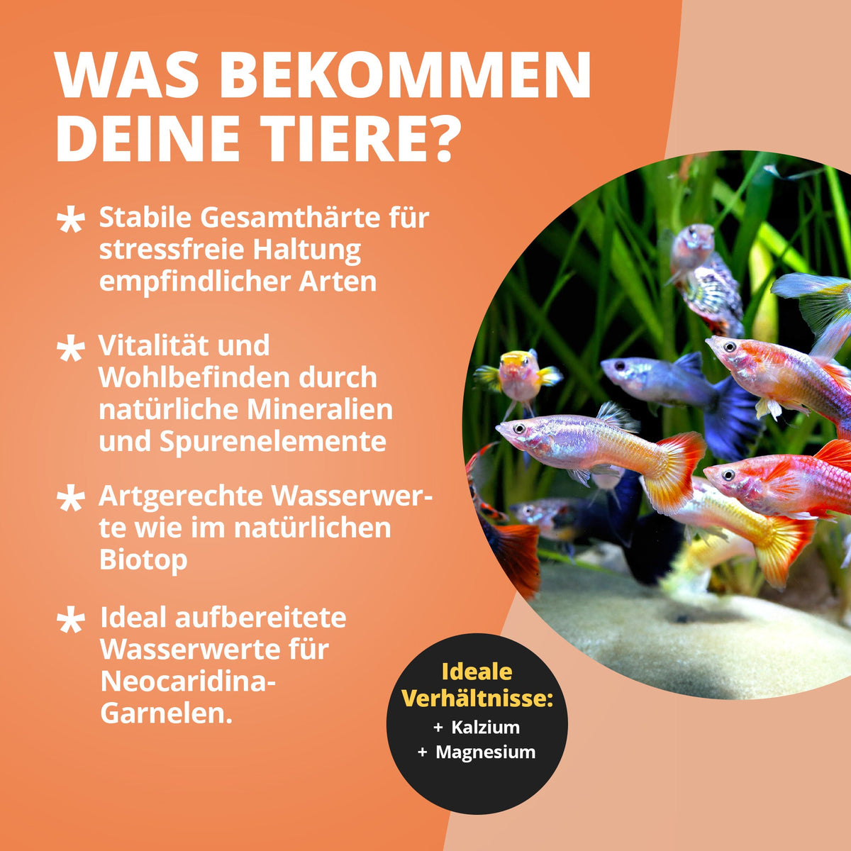 NatureHolic GH Salt - Aufhärtesalz zur Erhöhung der Gesamthärte