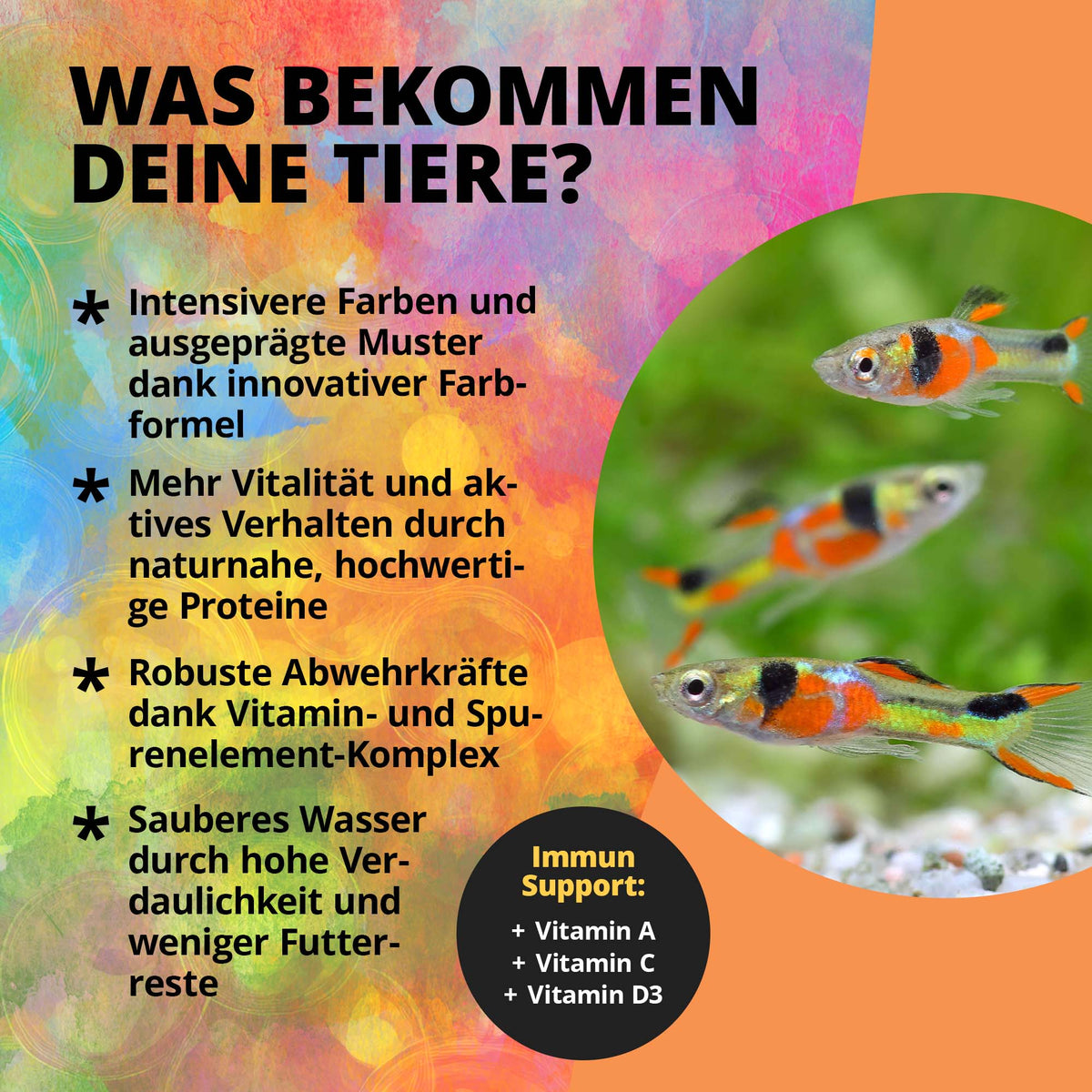 Nano Color Farbverstärkung