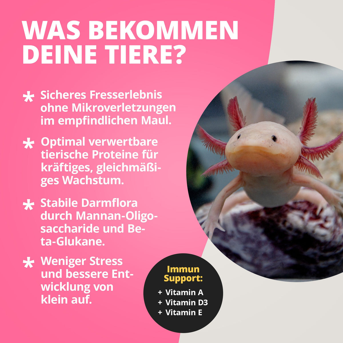 NatureHolic Axolotl Babyfeed - Jungtier Axolotl Softfutter