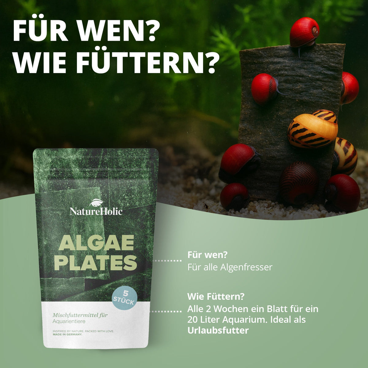 AlgaePlate - 5 stk. - Aufwuchsfresser & Wochenendfutter für Wirbellose ( Algenplatten )
