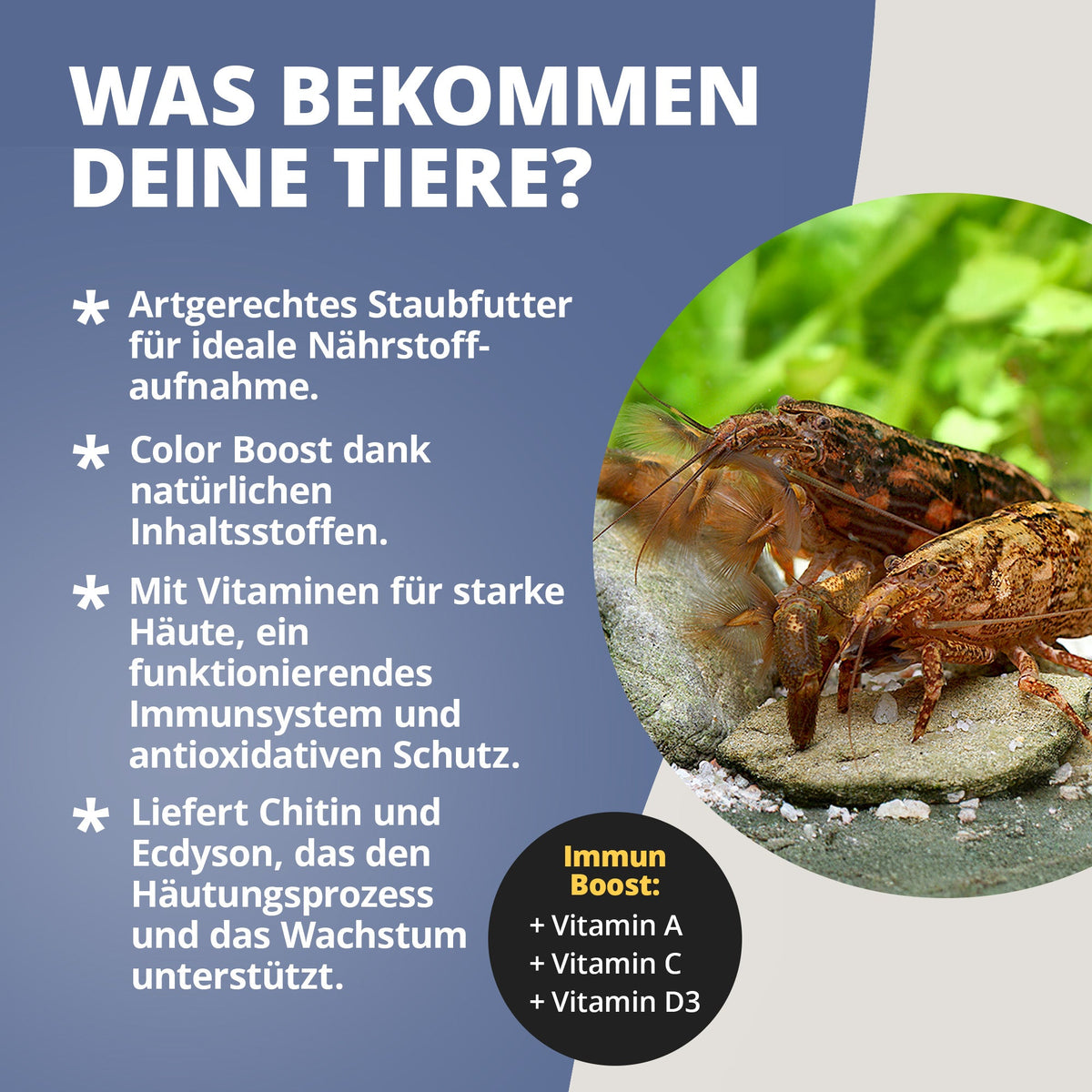 NatureHolic - Fächerfeed - Fächergarnelenfutter - 30g - Fanfeed