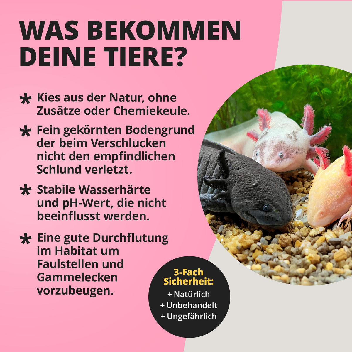 Axolotl Ground - 10kg Spezialbodengrund für Axolotl