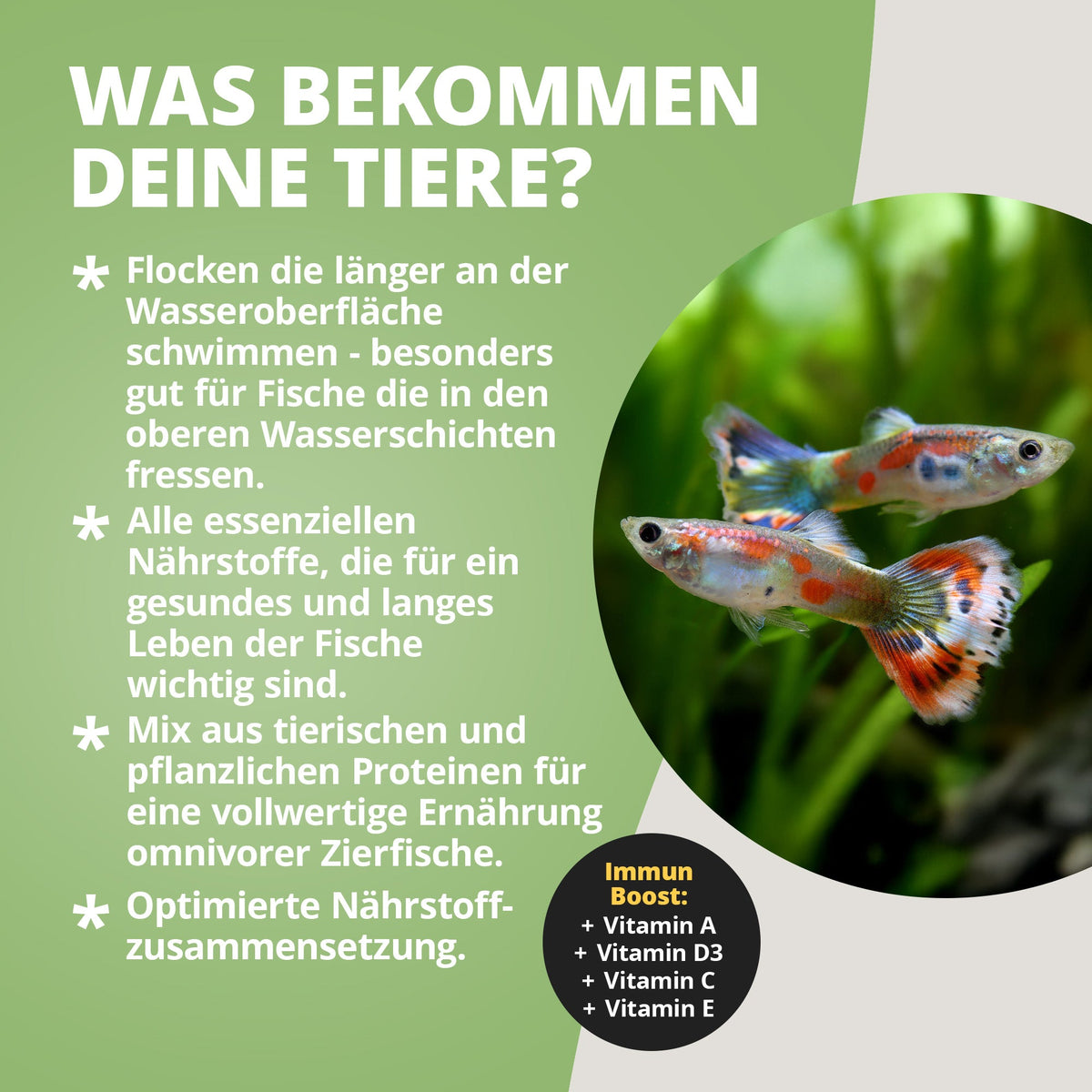 NatureHolic Hauptfeed "Flocke" - Zierfischhauptfutter - 10g