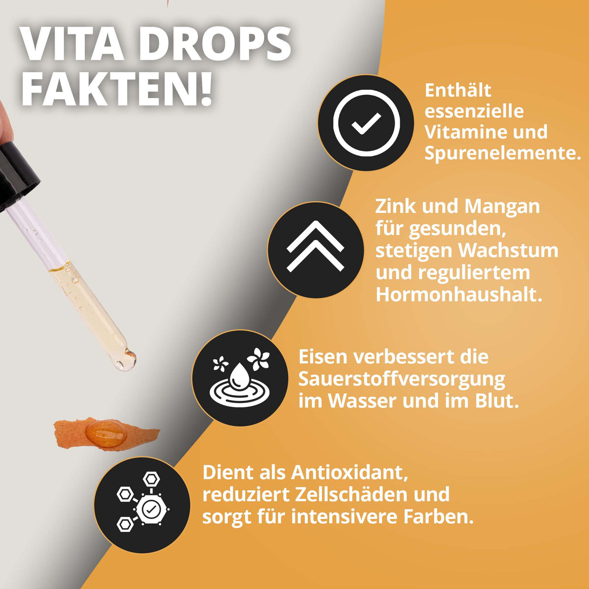 NatureHolic Vita Drops Fish - 30ml Fischfutter Zusatz für mehr Vitalität