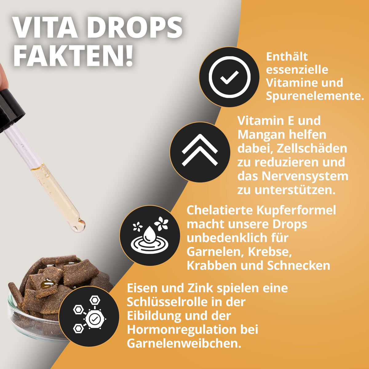 NatureHolic Vita Drops Shrimp - 30ml Garnelenfutter Zusatz für mehr Vitalität