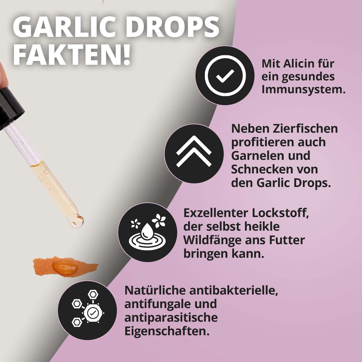 NatureHolic Garlic Drops – 500 Tropfen Knoblauch-Futterzusatz mit innovativer Gelformel für Vitalität & Immunsystem