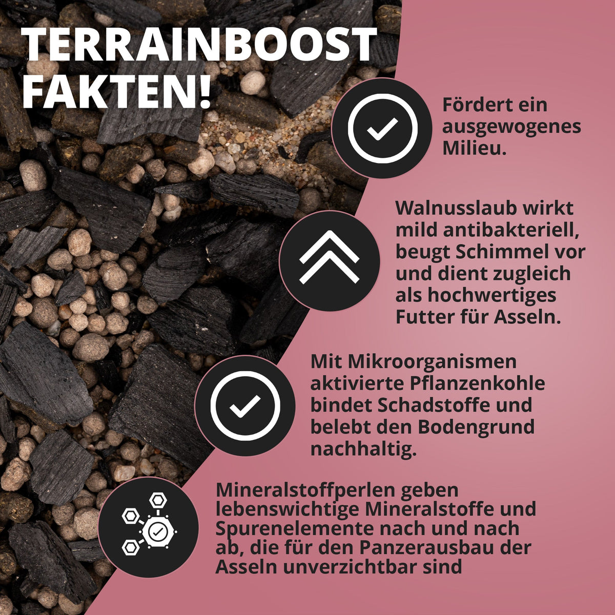 NatureHolic Assel Protect TerrainBoost - für die Bodenverbesserung im Asselterrarium