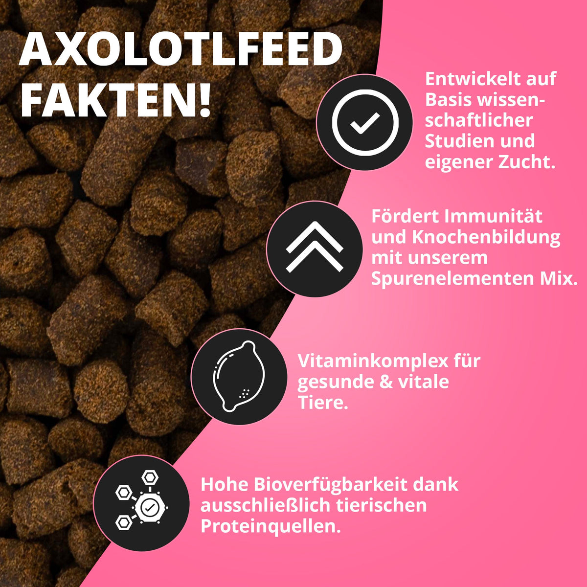 NatureHolic AxolotlFeed - Axolotl Spezialfutter