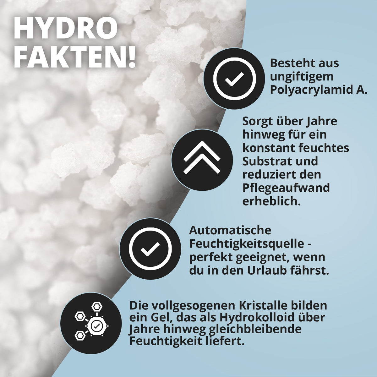 Assel HydroProtect