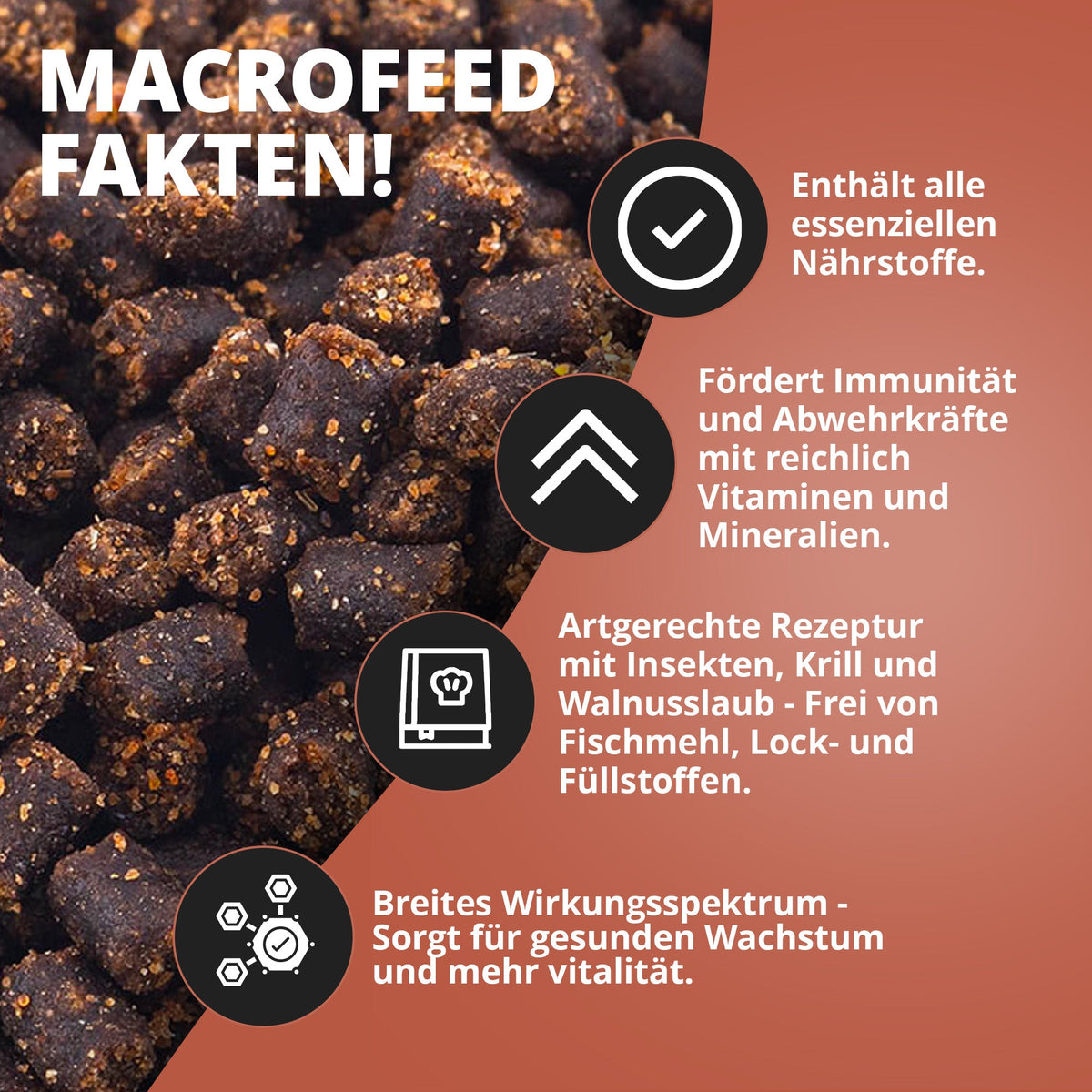 NatureHolic - Macrofeed / Großarmgarnelen-Futter - 30g