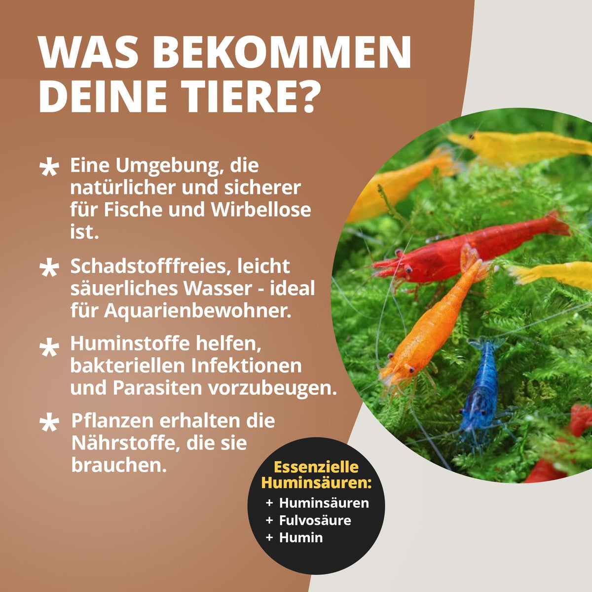 NatureHolic - Crusta Humin Liquid - 125ml / Wertvolle Huminstoffe für dein Aquarium