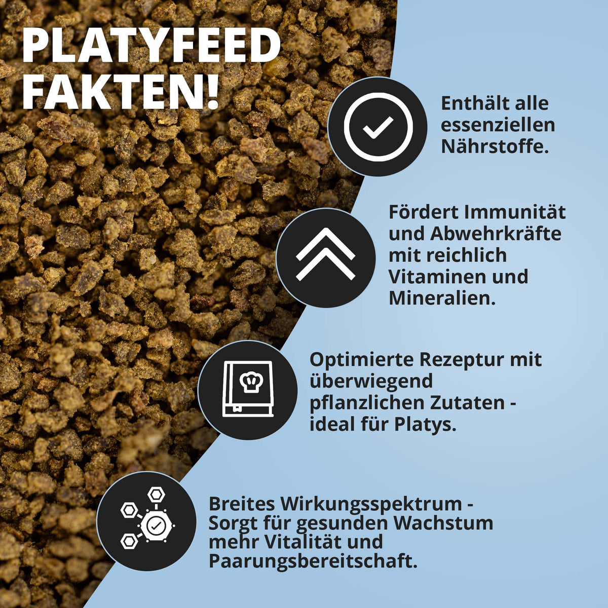 PlatyFeed