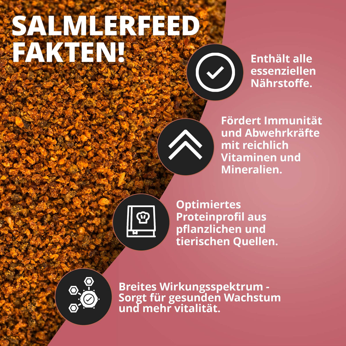 NatureHolic - Salmlerfeed - 30g