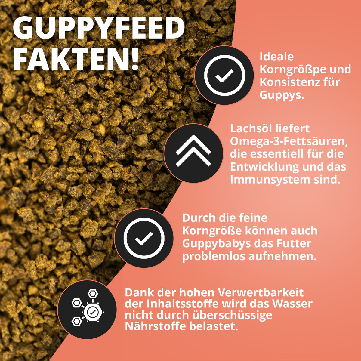 NatureHolic Guppyfeed – Premiumfutter für Guppys & Lebendgebärende