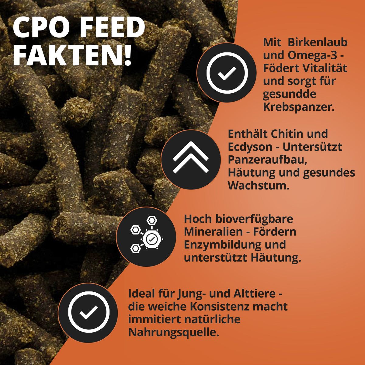 NatureHolic Cambarellusfeed – CPO & Zwergkrebsfutter