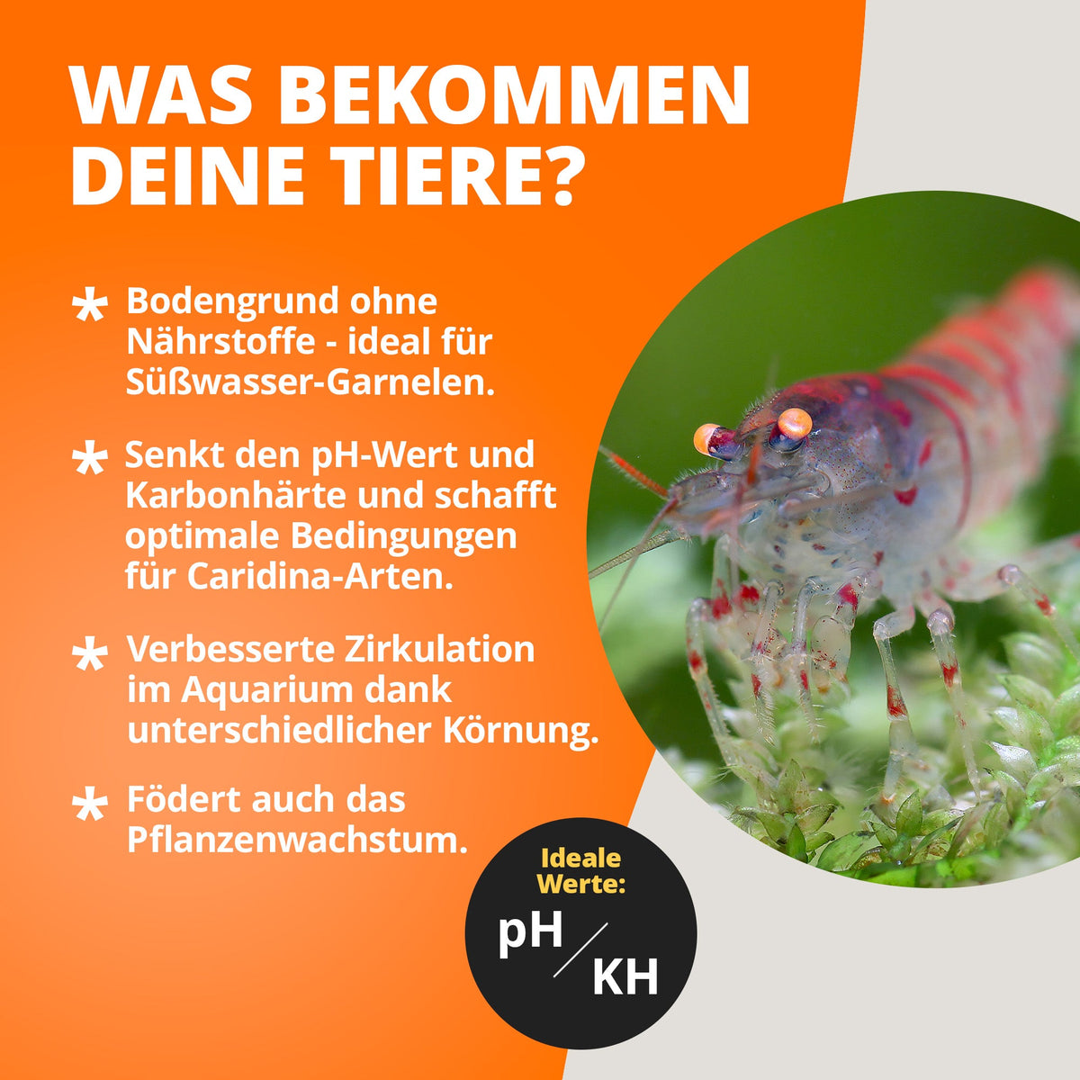 NatureHolic Shrimp Soil - Spezial Bodengrund für Garnelen im Aquarium